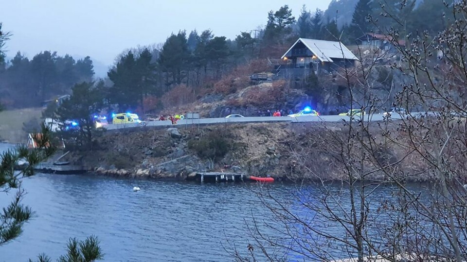 Søk i sjøen ved Røsstadveien avsluttet, trolig spekkhoggere som ble observert