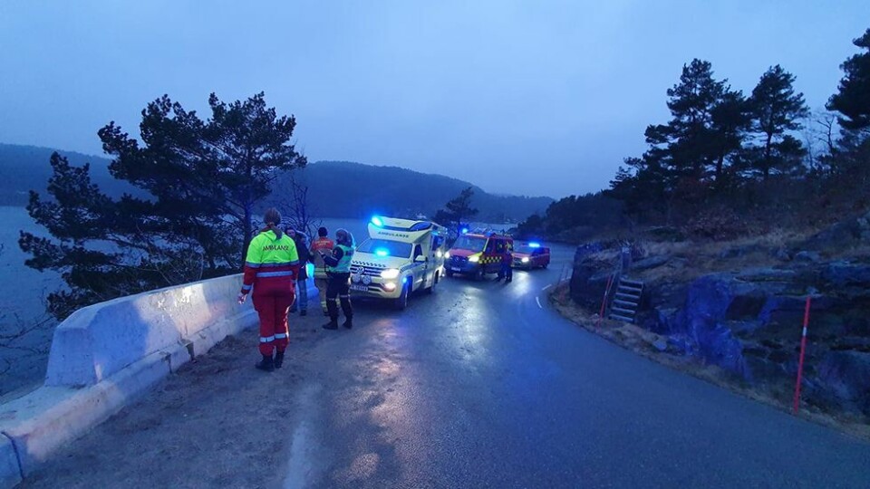 Søk i sjøen ved Røsstadveien avsluttet, trolig spekkhoggere som ble observert