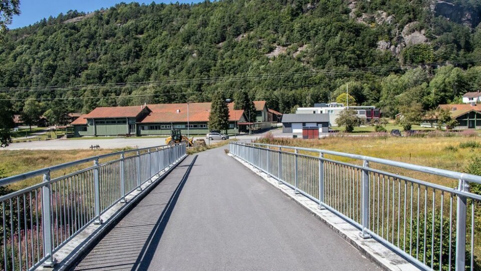 Nytilsatt rektor