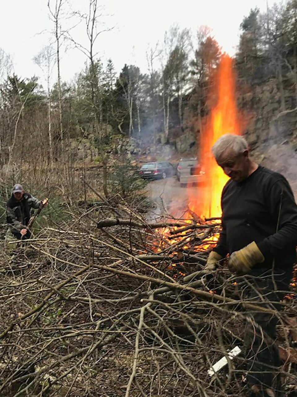 Brant buskas i Lindebøskauen: Men bare til nytte