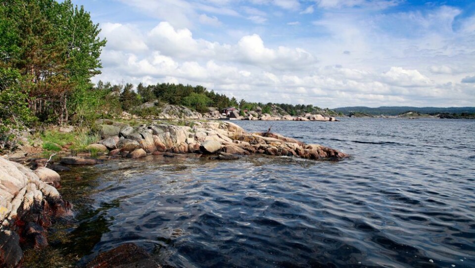 28 mål tomt for 490.000,-