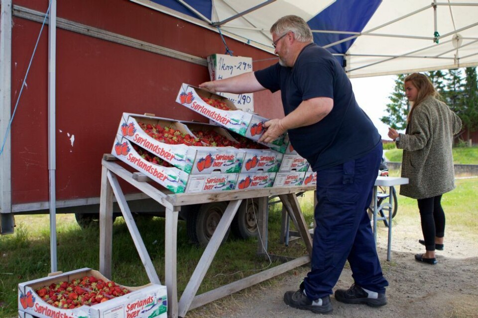 Jordbær langs veien
