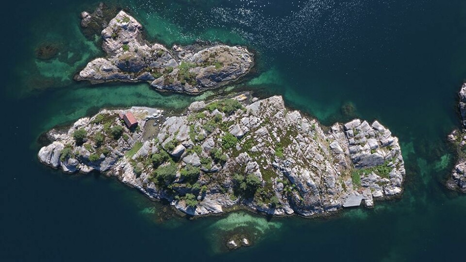Kvalifiseringssenterets fotokonkurranse: Midlertidig satt på vent