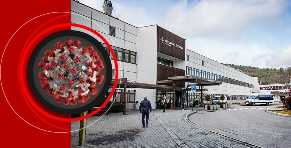 Fem nye smittetilfeller i Kristiansand