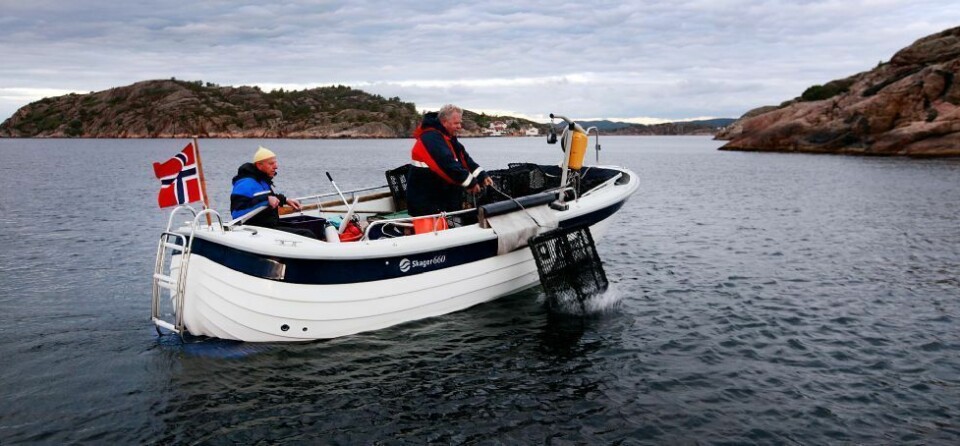 Har du husket å registrere deg til hummerfisket?