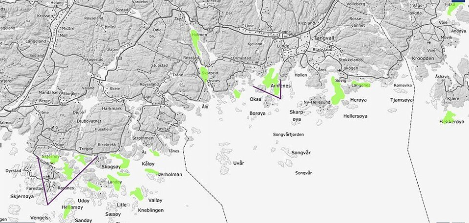 Foreslår å frede kysttorsken i gyteperioden