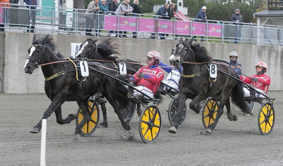 Gull, sølv og bronse til Tjomsland
