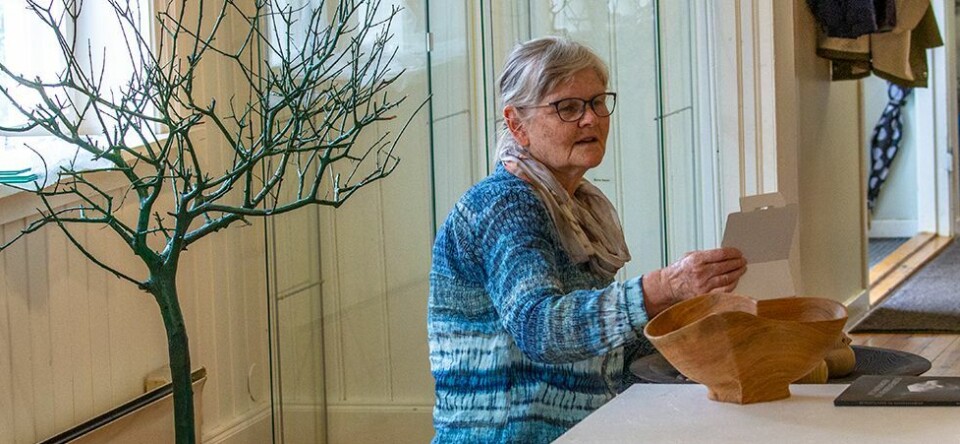 - Vi gleder oss til sommeråpent