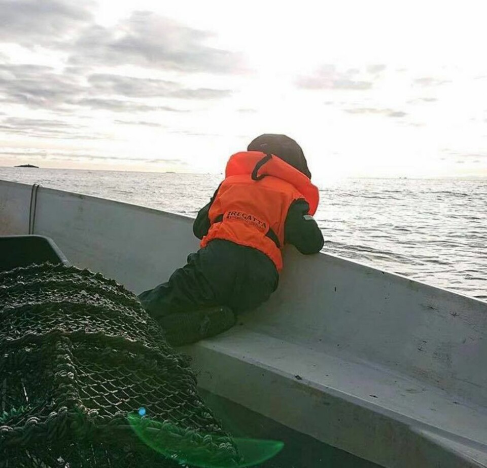 Lesernes hummerbilder, hvem vinner hummerteiner
