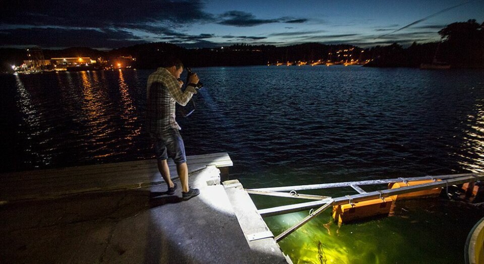 - La 'Selik' få være i fred