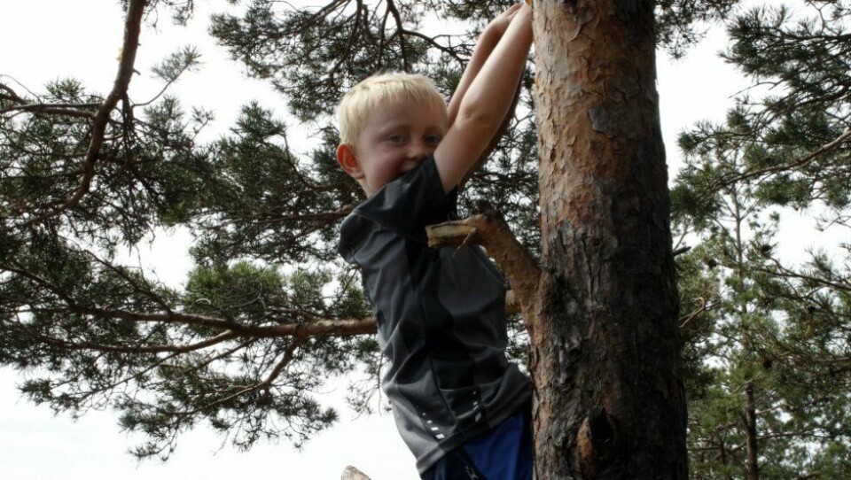 Louis (6) først til toppen