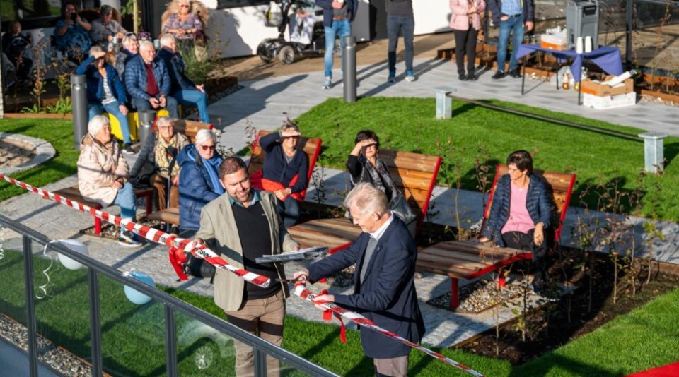 - Stor skaperglede i bygda