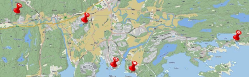 Bernhard Emil (10 år) ga Lauvika seks på terningen