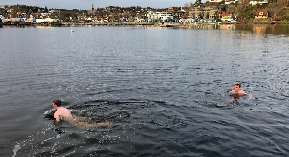 Nyttårsbad: Jumpet uti fra brygga på Storenes