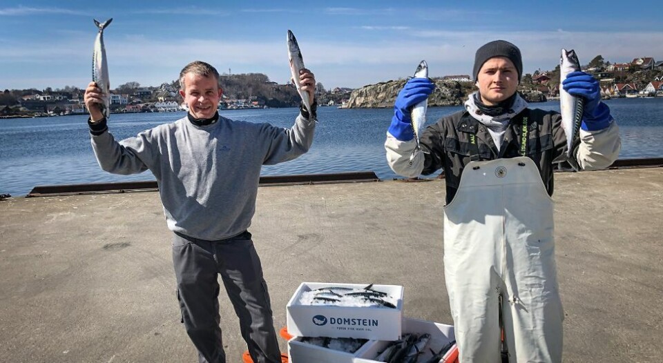 Årets første makrell har kommet til Flekkerøy