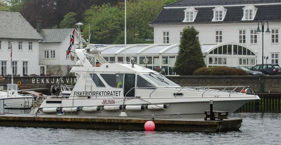Skal saumfare Sørlandskysten