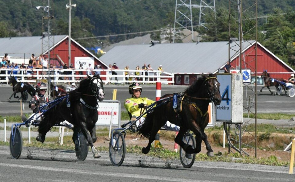 Tjomsland tryllet på hjemmebane