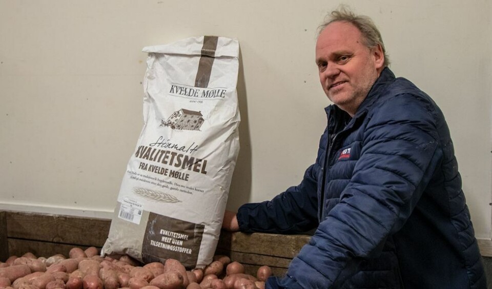 - Kan det bli mer kortreiste julelefser og lomper?