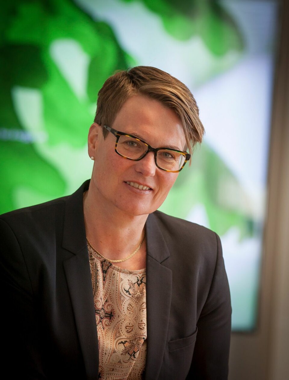Anbefaler Tine Sundtoft som fylkesrådmann