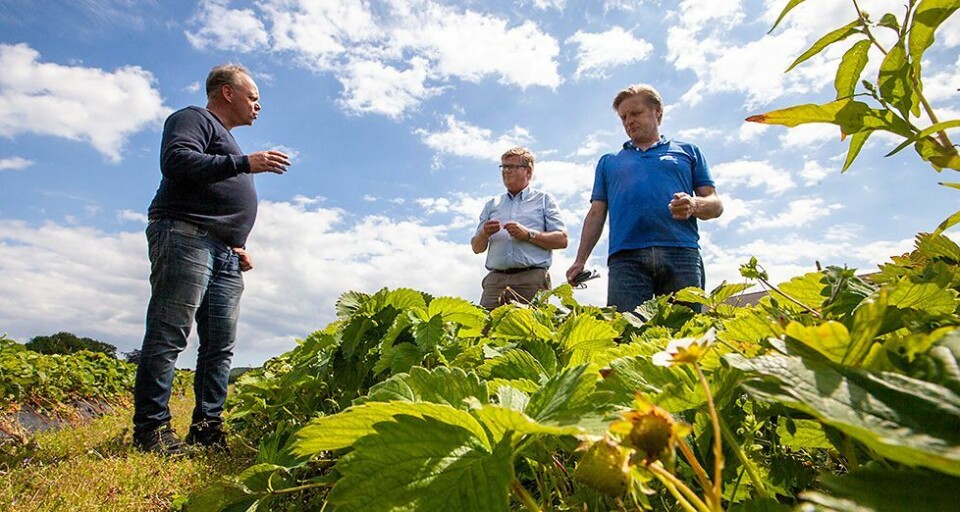 - Vi kan produsere det kommunen vil at vi skal produsere