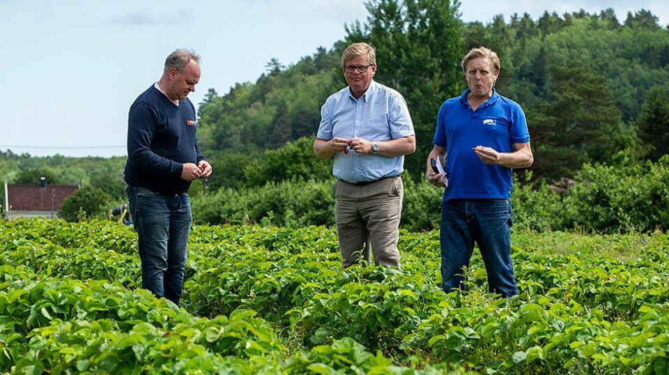 - Vi kan produsere det kommunen vil at vi skal produsere