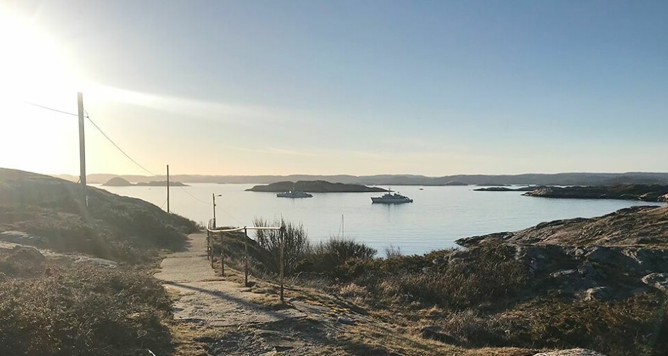 «Songvår fyrs venner tar koronasikkerheten på alvor»