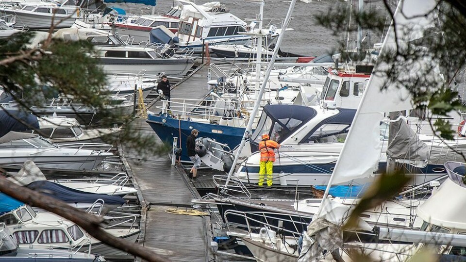 Tilbakeblikk: «Knud» er årets mest leste