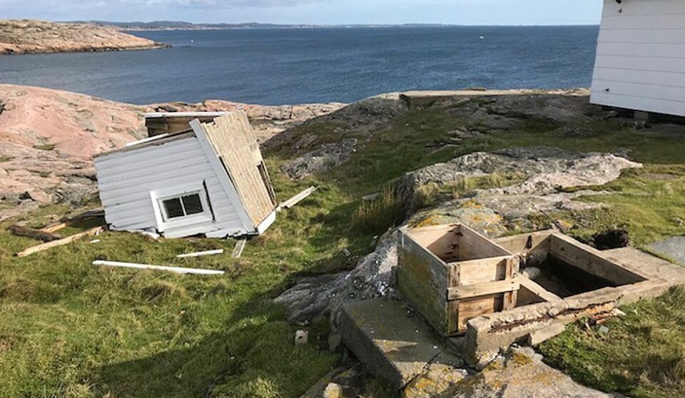 Tilbakeblikk: «Knud» er årets mest leste