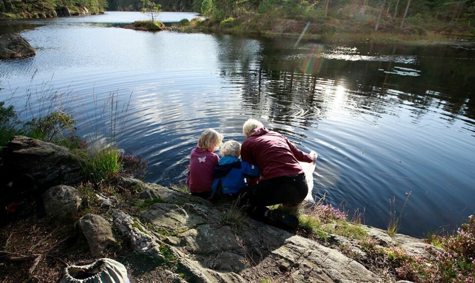 Tusen ørret sluppet i Kjellandsvannet