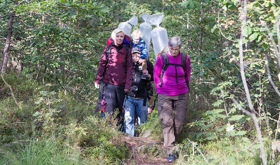 Tusen ørret sluppet i Kjellandsvannet