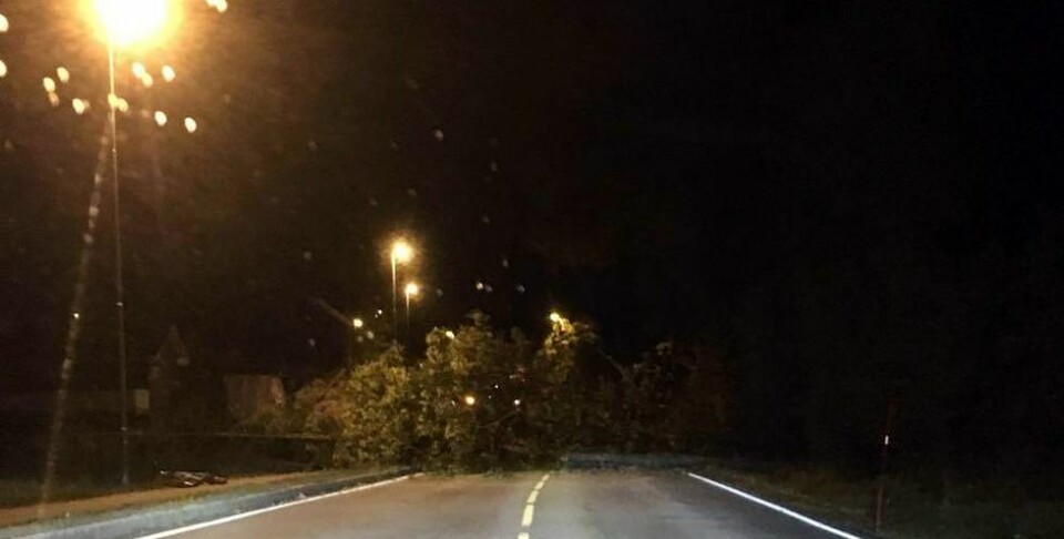 Faller ned på Langenesveien