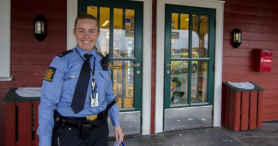 Flere innbrudd i Høllen