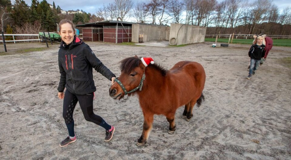 Miss Piggy og Åros Ridesenter inviterer til juleshow