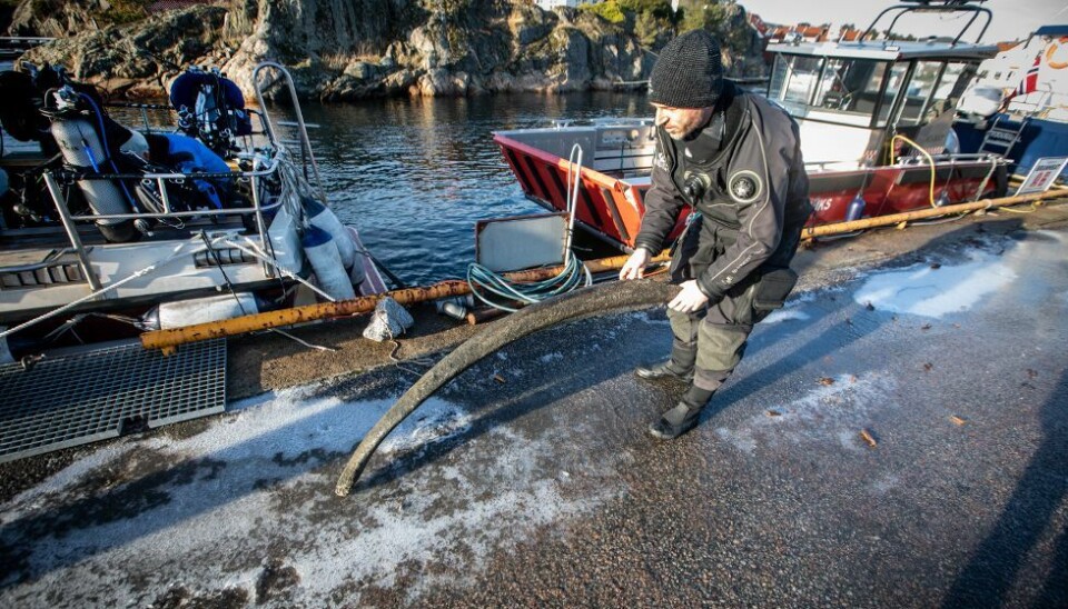 110 spøkelsesredskaper og et hvalbein, bare i januar