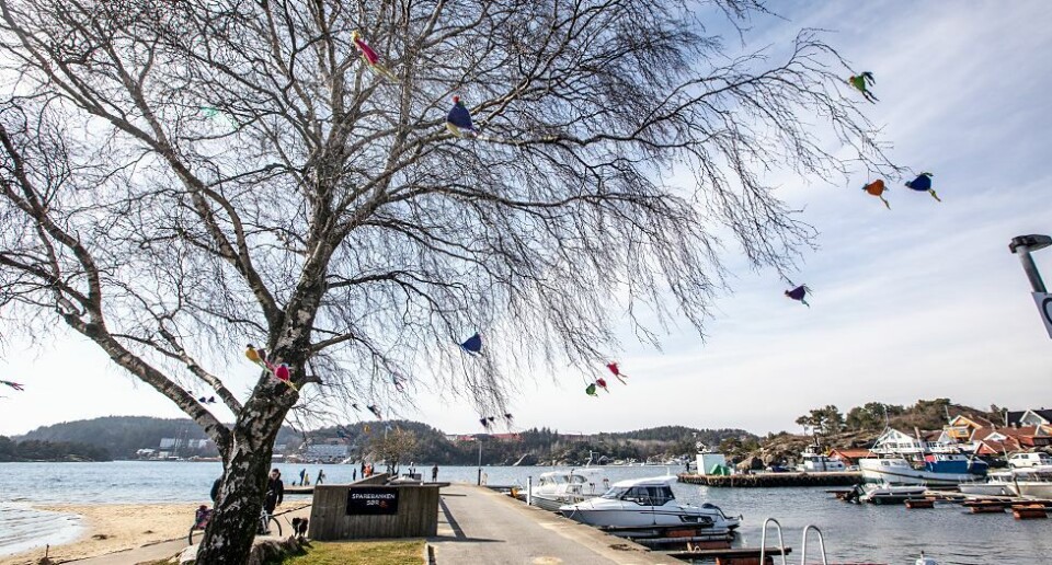 Del dine påskebilder