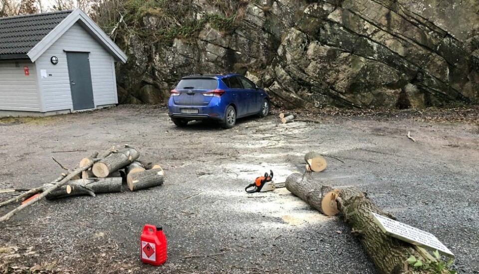 Denne bilen var til salgs