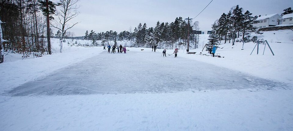 Flotte skøyteforhold på Vedderheia