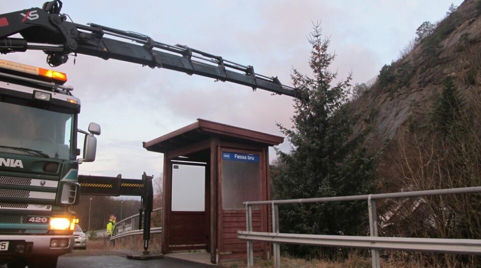 Julegrana på plass