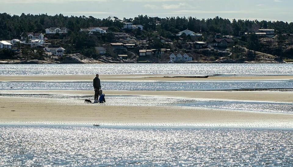 Nå mener meteorologene at det nærmer seg vår i lavlandet. Mye godvær gjennom påska for hele landsdelen.