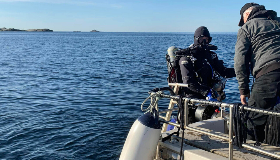 På vei ut i sjøen til jakten på spøkelsesredskaper og søppel på langenesfjorden mandag formiddag.