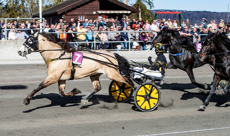 Kusk Tom Erik Solberg kunne knytte neven i triumf ved målpassering til de mange tusen publikummerne som hadde samlet seg i påskesola i Skien.