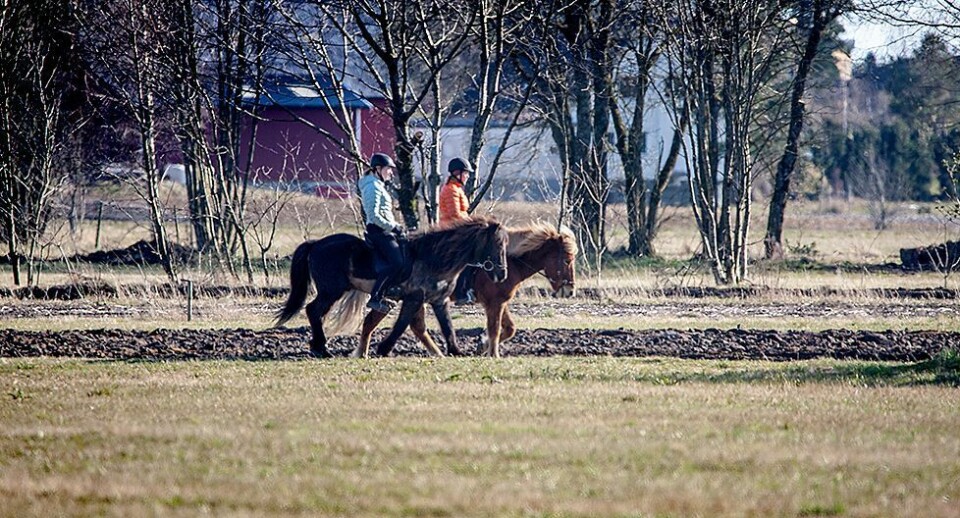 Ukeværet: Full vår mandag, bråstopp tirsdag