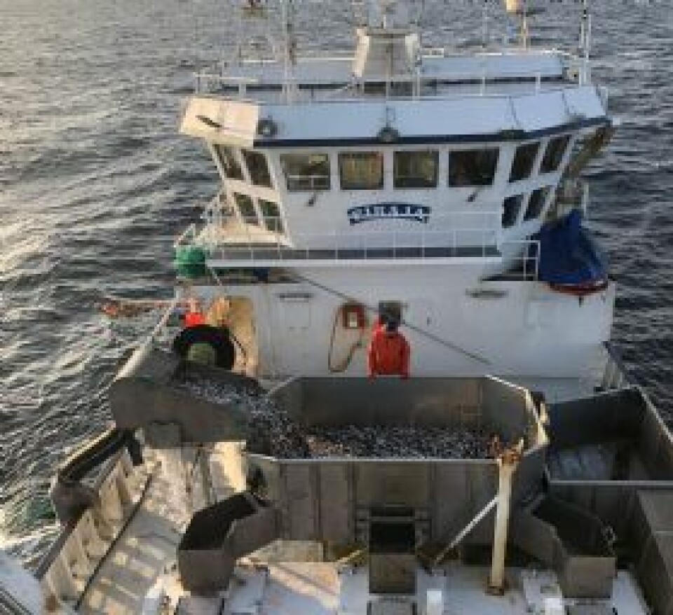 Avsluttet loddefisket i nord