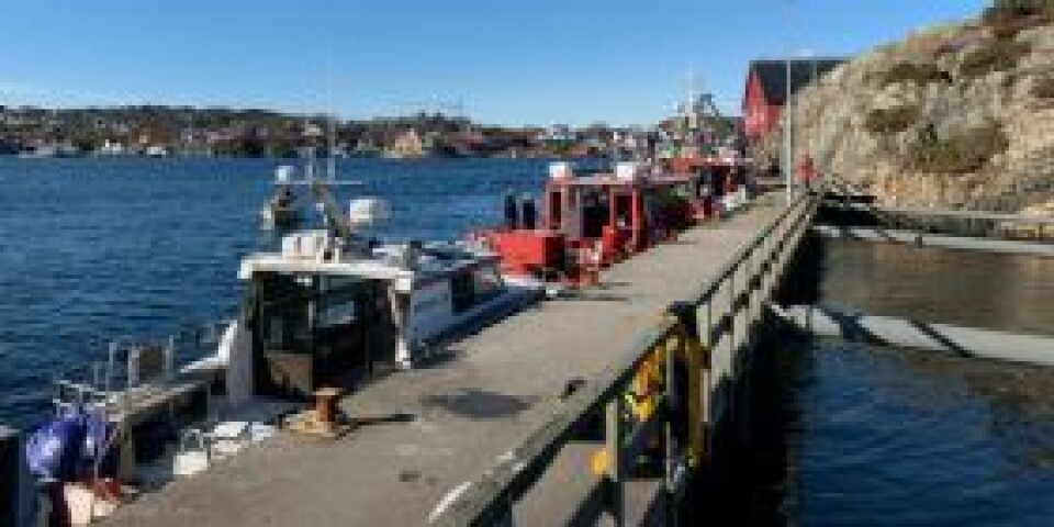 Storstilt redningsøvelse: «Fire bølgepadlere savnet utenfor Flekkerøy»