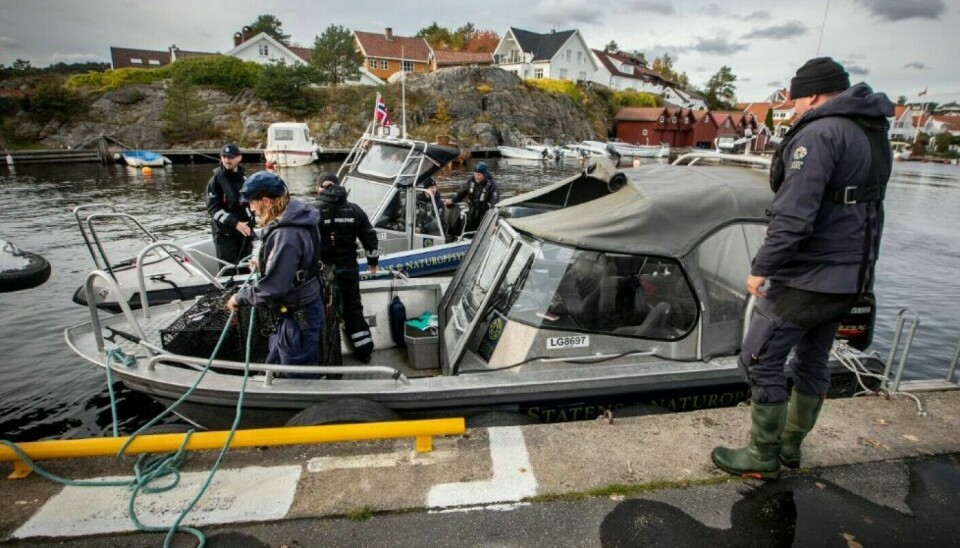 Flere etater vil være ute i skjærgården fra og med 15. april for å påse at ferdselsforbudet i hekkeområder overholdes.