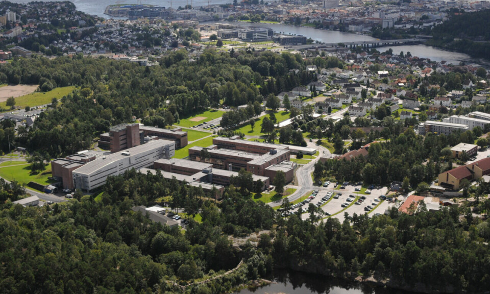 Universitetet i Agder, Kristiansand.