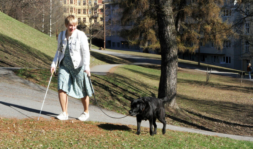 Gry Berg på tur i parken med førerhunden Narnia.