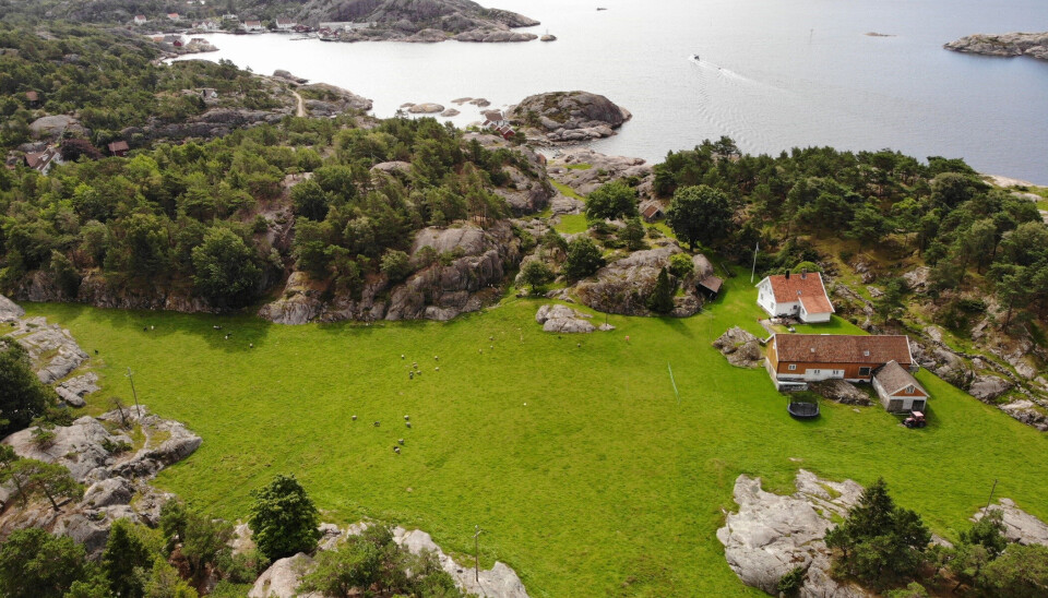 Fredheim gård ligger idyllisk til på Monsøya i Søgne. Fredheim gård ligger idyllisk til på Monsøya i Søgne.
