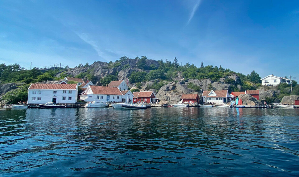Onsdag melder meteorologene at det nå er trygt å sette ut vårblomstene. – Våren ser ut til å komme på ordentlig, varsler de.