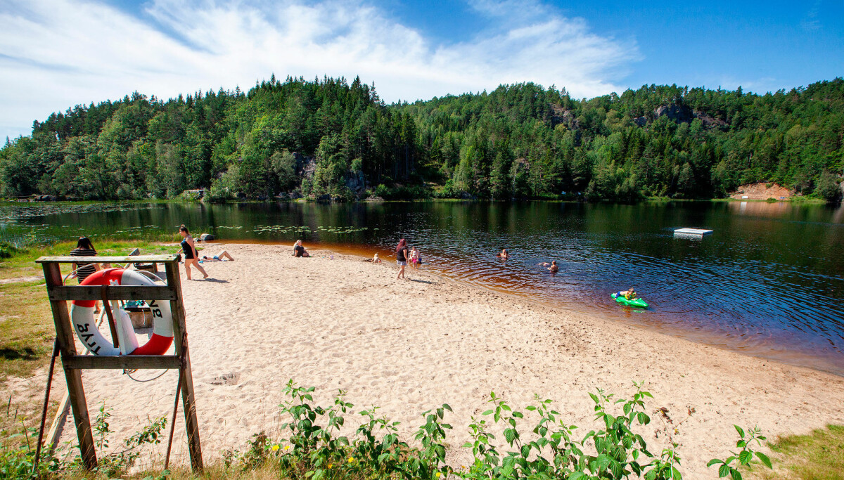 Stemtjønn (Hortemo)